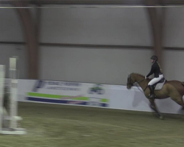 Reitturnier Barlo-Bocholt 2023