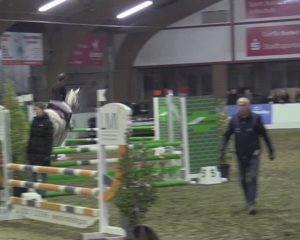 Reitturnier Barlo-Bocholt 2023