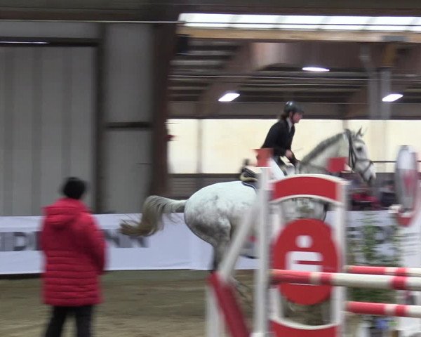 Reitturnier Barlo-Bocholt 2023