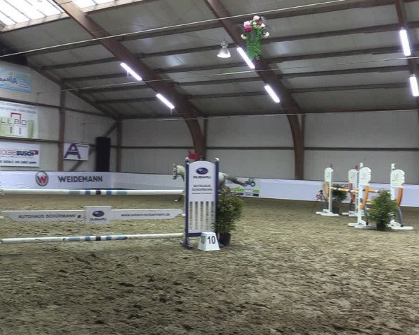 Reitturnier Barlo-Bocholt 2023