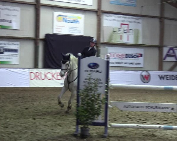 Reitturnier Barlo-Bocholt 2023