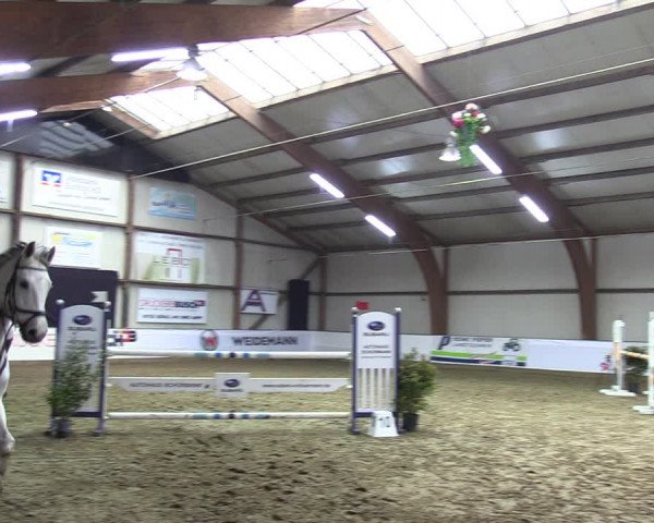 Reitturnier Barlo-Bocholt 2023