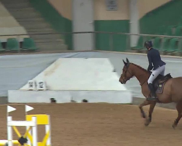 Reitturnier Kreuth 2023