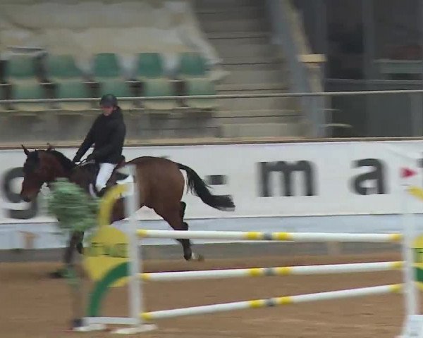 Reitturnier Kreuth 2023