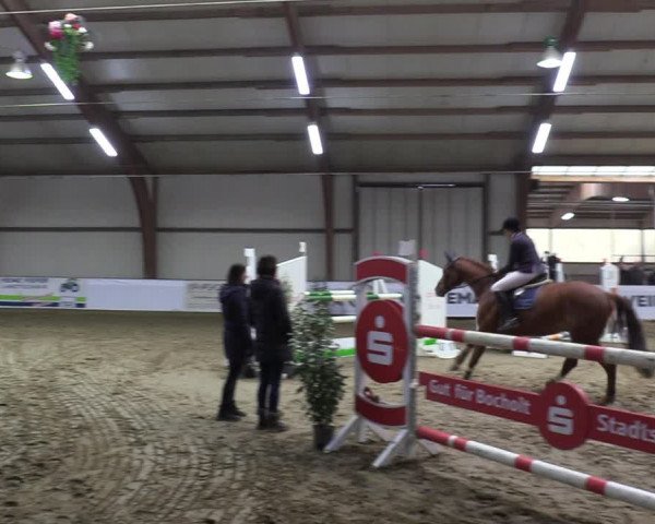Reitturnier Barlo-Bocholt 2023