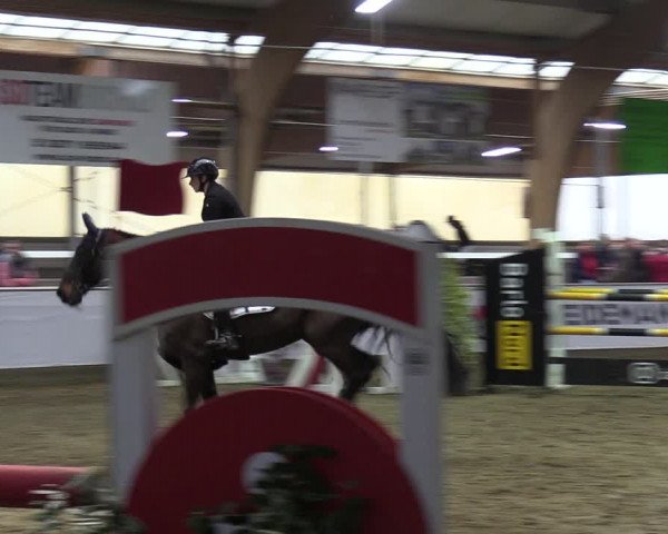 Reitturnier Barlo-Bocholt 2023