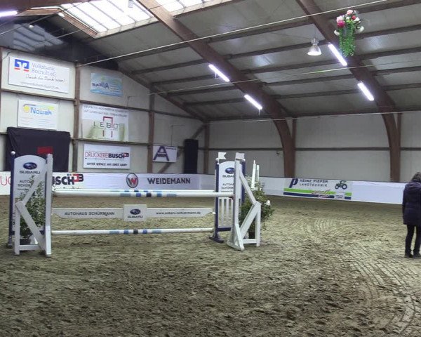 Reitturnier Barlo-Bocholt 2023