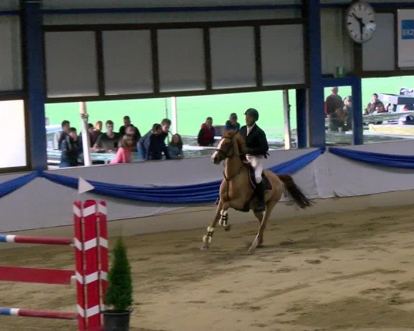 Reitturnier Buchs 2021