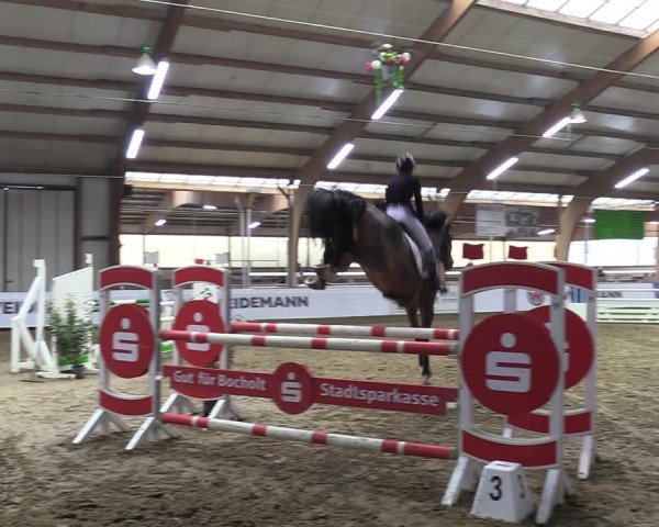 Reitturnier Barlo-Bocholt 2023