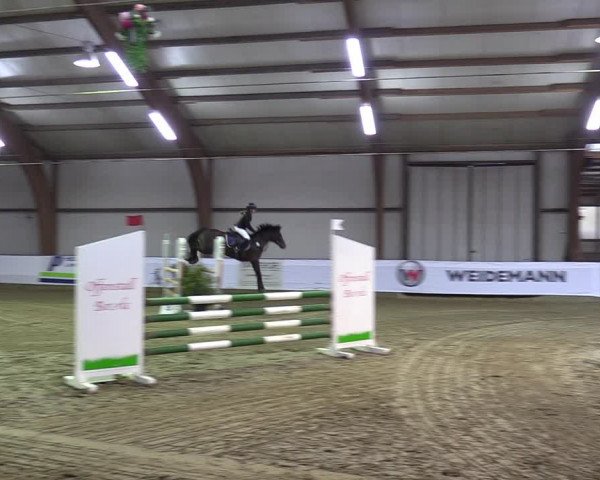 Reitturnier Barlo-Bocholt 2023