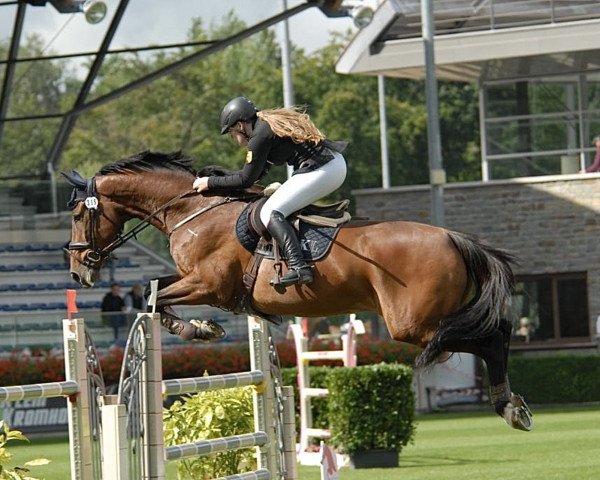 Springpferd Grandeur 245 (KWPN (Niederländisches Warmblut), 2011, von Diamant de Semilly)