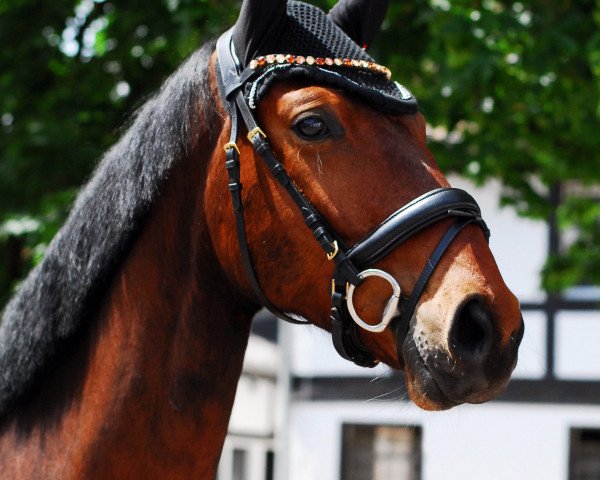 dressage horse Esprit M (Westphalian, 2018, from Escolar)