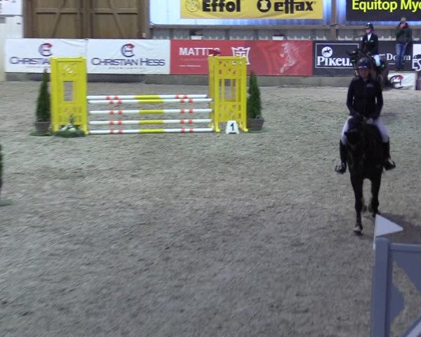 8. Nordic Jumping event Negernbötel 2023