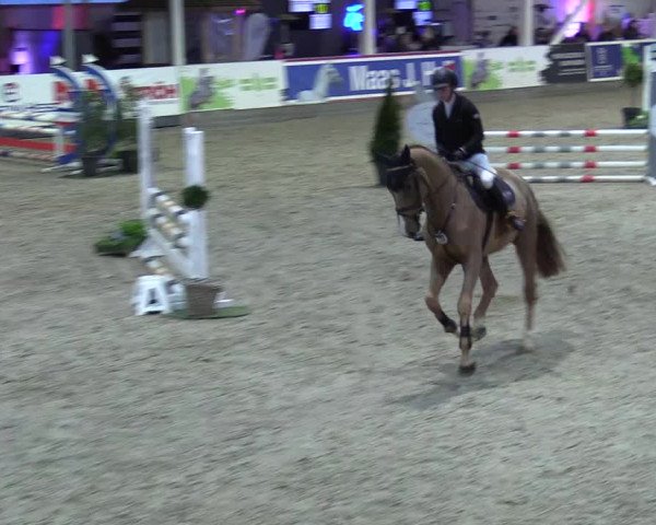 8. Nordic Jumping event Negernbötel 2023