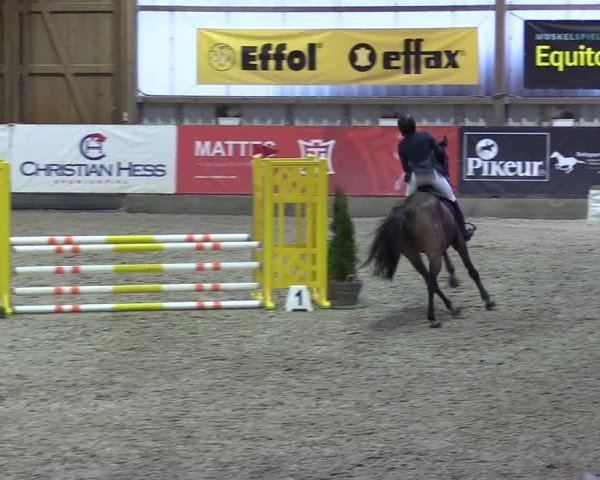 8. Nordic Jumping event Negernbötel 2023