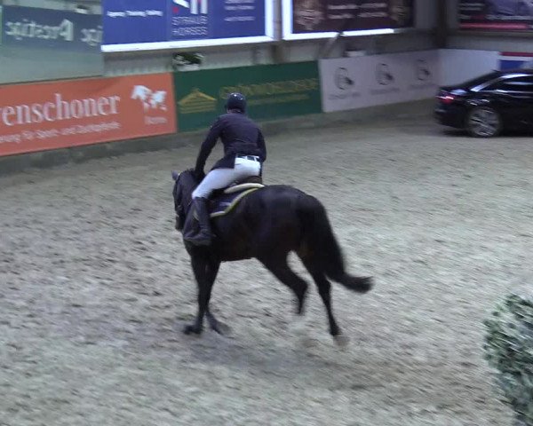 8. Nordic Jumping event Negernbötel 2023
