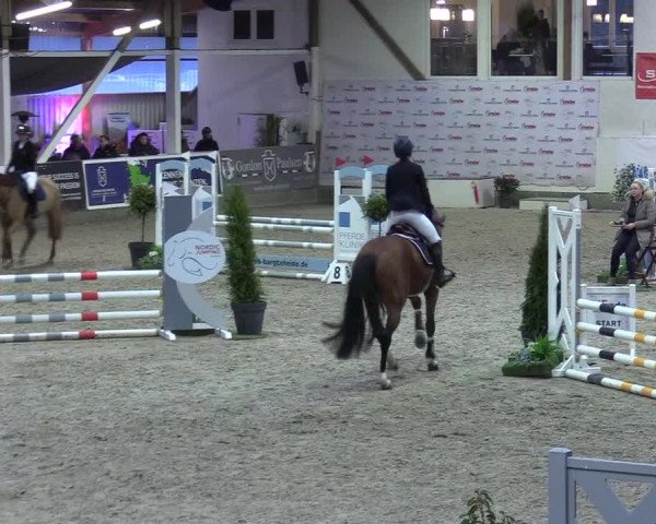8. Nordic Jumping event Negernbötel 2023