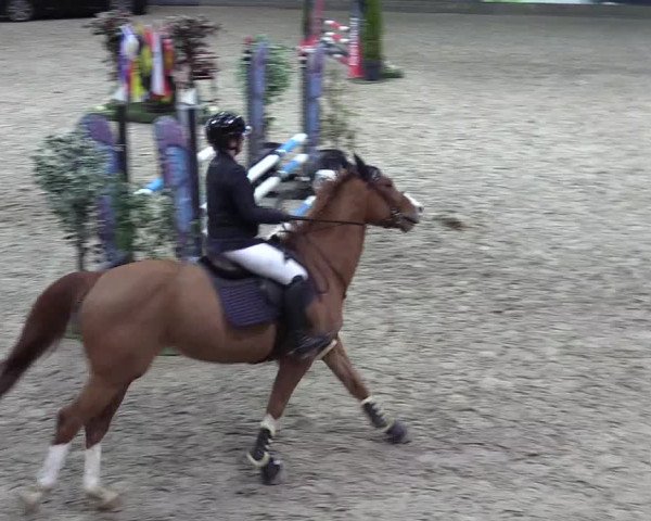 8. Nordic Jumping event Negernbötel 2023