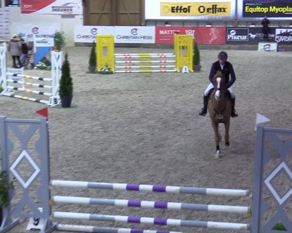8. Nordic Jumping event Negernbötel 2023
