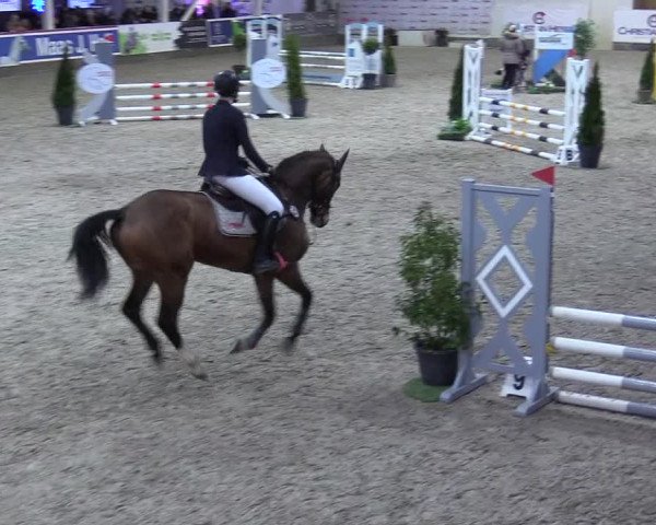 8. Nordic Jumping event Negernbötel 2023