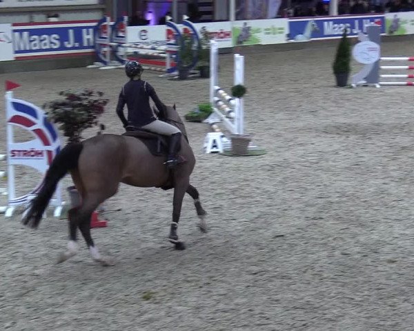 8. Nordic Jumping event Negernbötel 2023