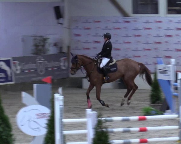 8. Nordic Jumping event Negernbötel 2023