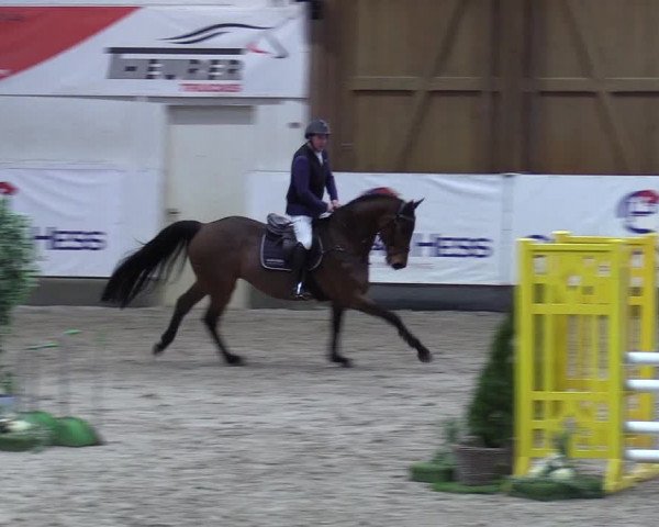 8. Nordic Jumping event Negernbötel 2023