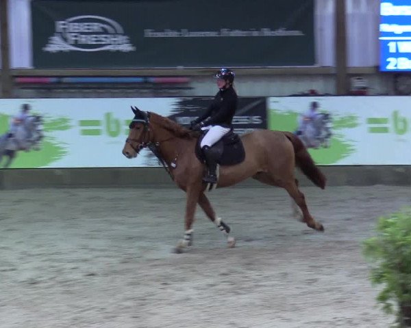8. Nordic Jumping event Negernbötel 2023
