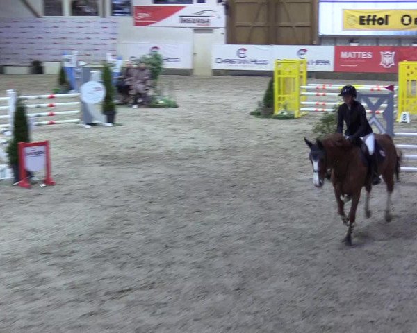 8. Nordic Jumping event Negernbötel 2023