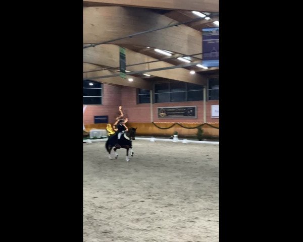 Video von Venezia H