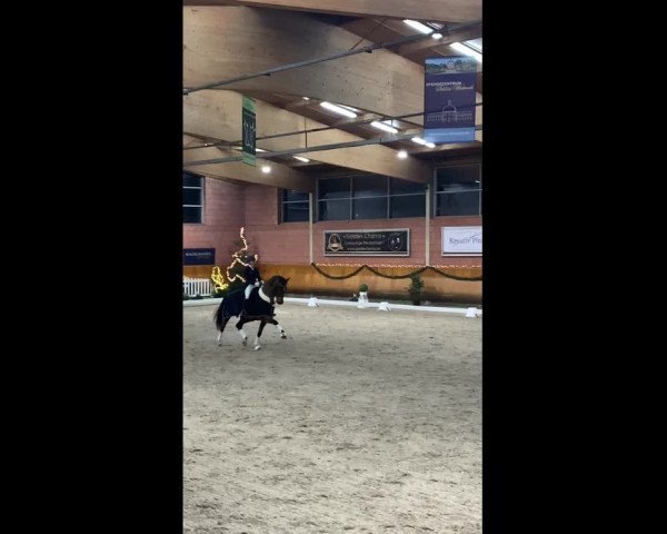 Video von Venezia H