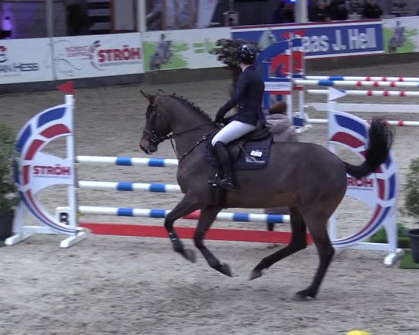 8. Nordic Jumping event Negernbötel 2023