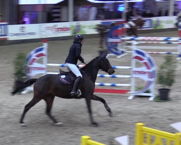 8. Nordic Jumping event Negernbötel 2023