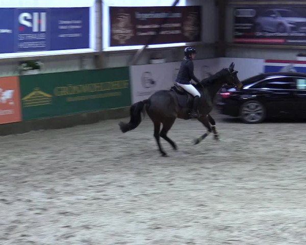 8. Nordic Jumping event Negernbötel 2023
