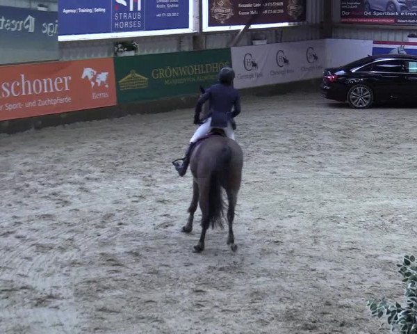8. Nordic Jumping event Negernbötel 2023