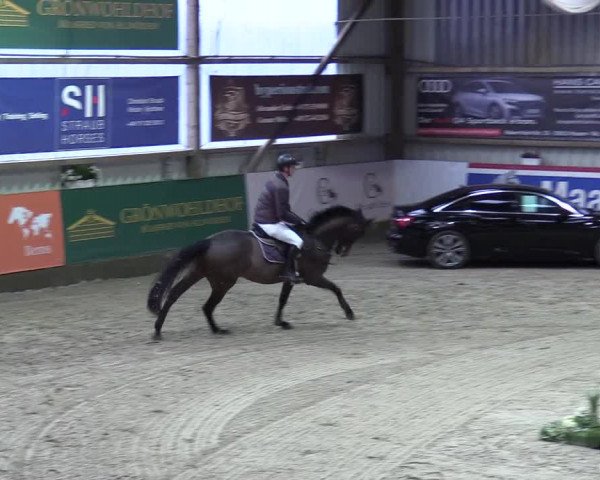 8. Nordic Jumping event Negernbötel 2023