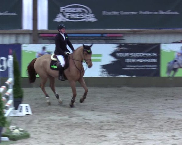 8. Nordic Jumping event Negernbötel 2023