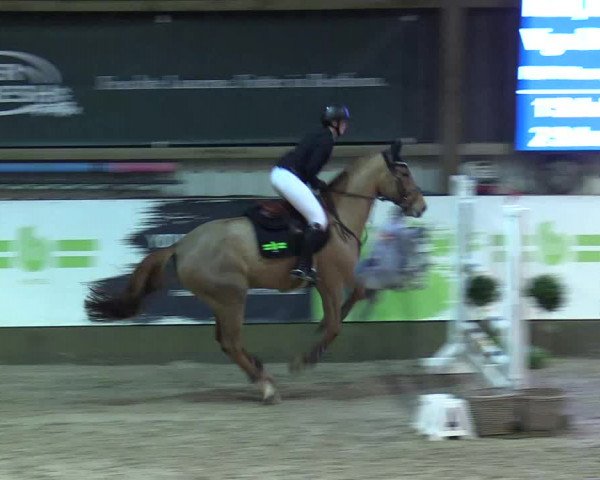 8. Nordic Jumping event Negernbötel 2023