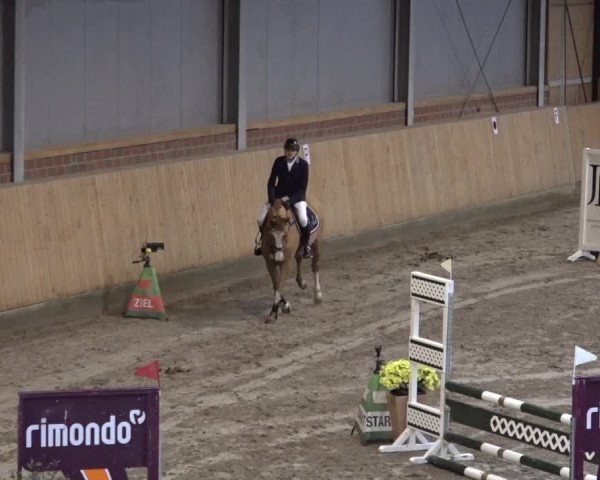 Reitturnier Osterholz 2023