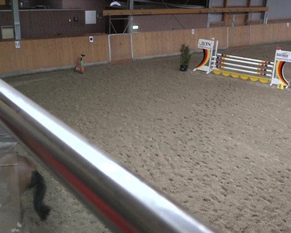 Reitturnier Osterholz 2023