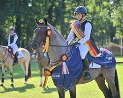 stallion Cookie Dough (German Riding Pony, 2016, from Del Piero 25)