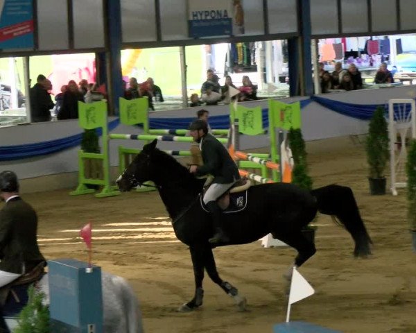 Reitturnier Buchs 2021