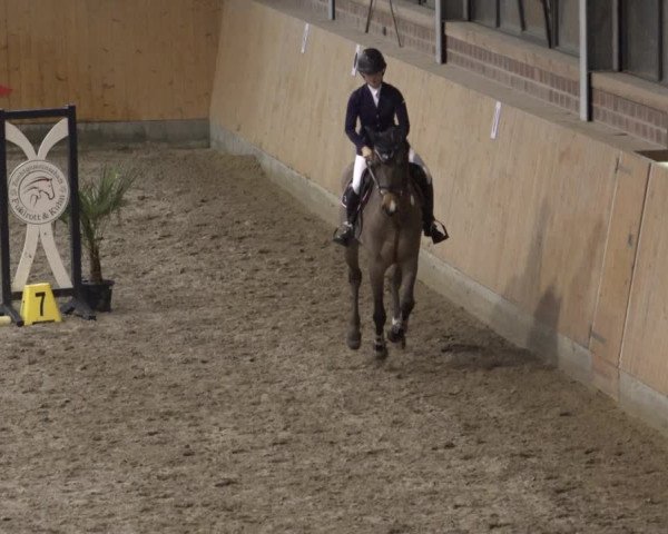Reitturnier Osterholz 2023