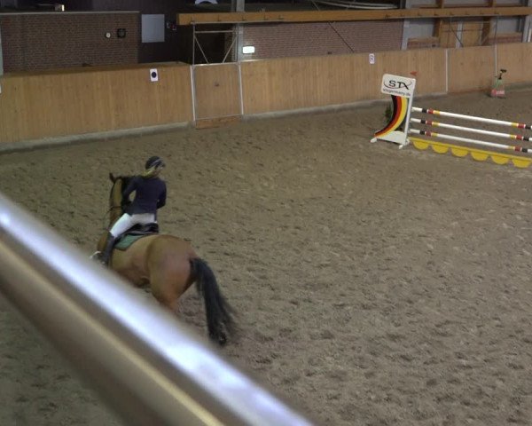 Reitturnier Osterholz 2023