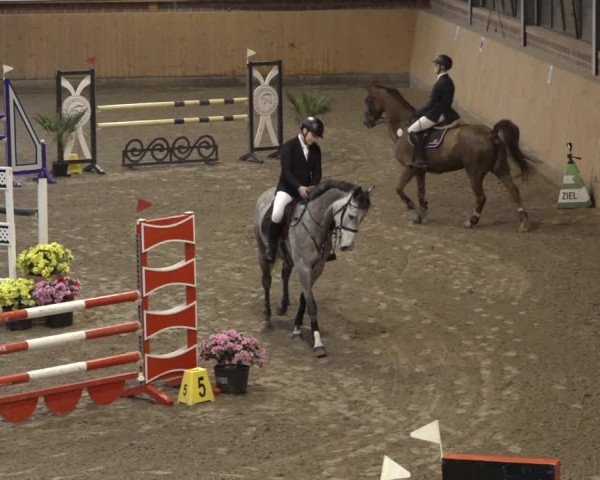 Reitturnier Osterholz 2023