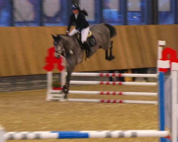 Reitturnier Zwickau 2023