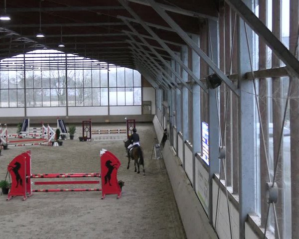 Reitturnier Langenfeld - Gut Landfort 2023