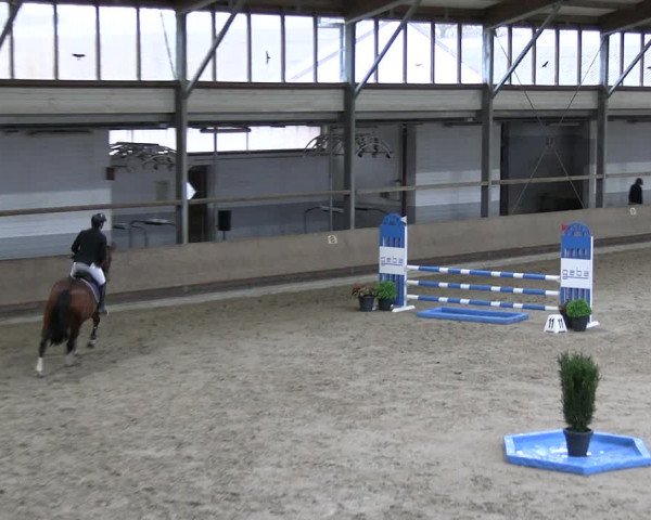 Reitturnier Langenfeld - Gut Landfort 2023