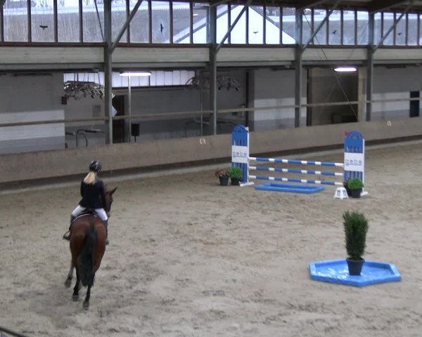 Reitturnier Langenfeld - Gut Landfort 2023