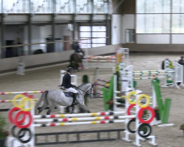 Reitturnier Langenfeld - Gut Landfort 2023